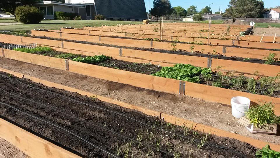 Community involvement in Box Elder garden News, Sports, Jobs